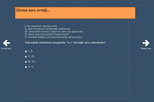 Örnek Sorular